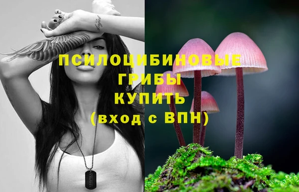 а пвп мука Аркадак