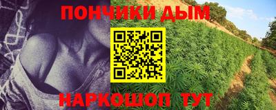 шишки Волжский