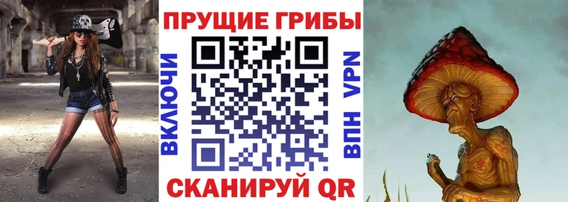 купить наркотики сайты  Ишим  Галлюциногенные грибы мицелий 