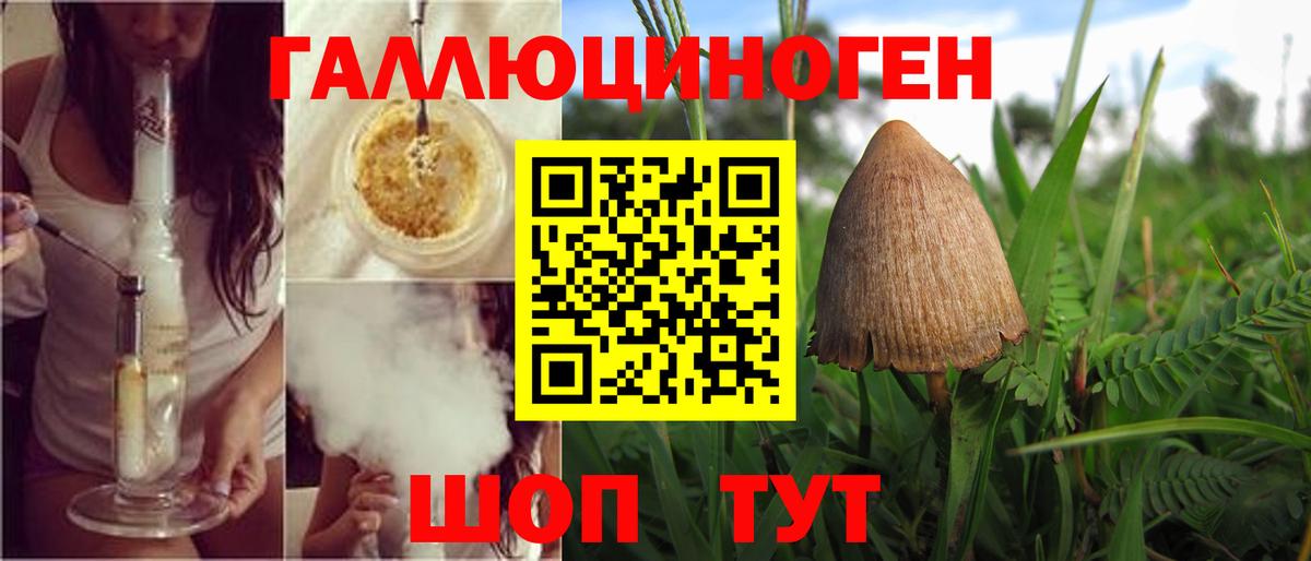 продажа наркотиков  Галлюциногенные грибы прущие грибы  Вход с VPN  Ишим 