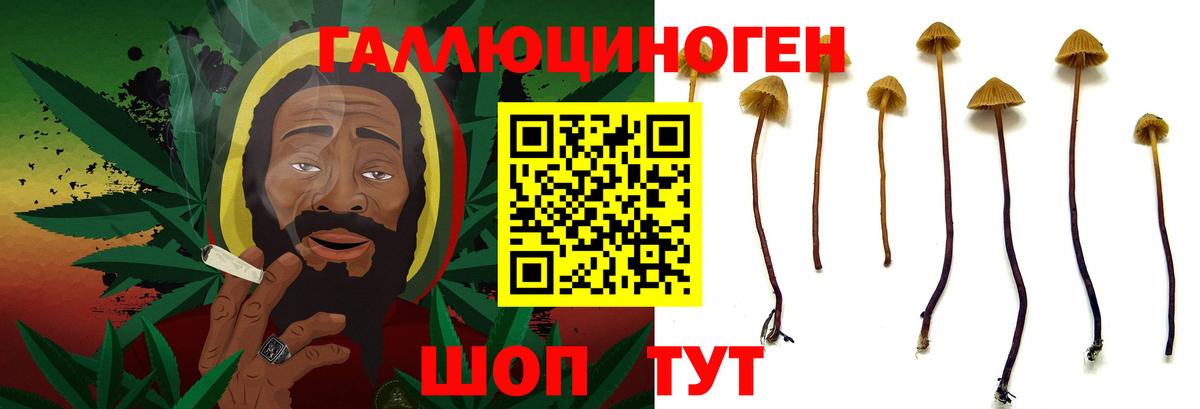 Галлюциногенные грибы мицелий Ишим
