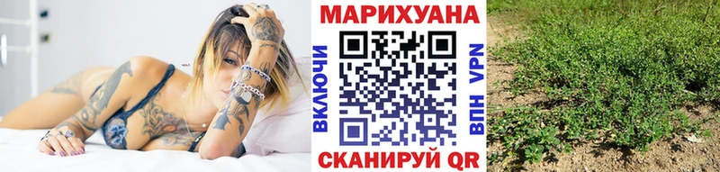 Бошки марихуана OG Kush MEGA ТОР Ишим